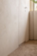 Minimalist room with beige walls, a closed door, and a textured carpet. A plant in a vase is visible near a sunlight-filled window. Calm ambiance.